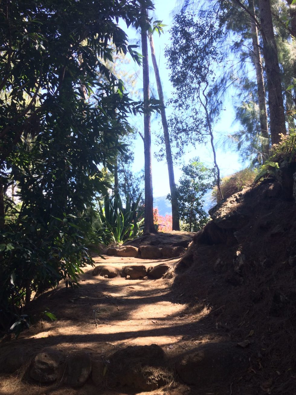 Road voyage Votre coach de voyage surmesure